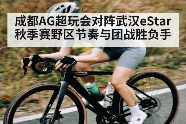 成都AG超玩会对阵武汉eStar 秋季赛野区节奏与团战胜负手